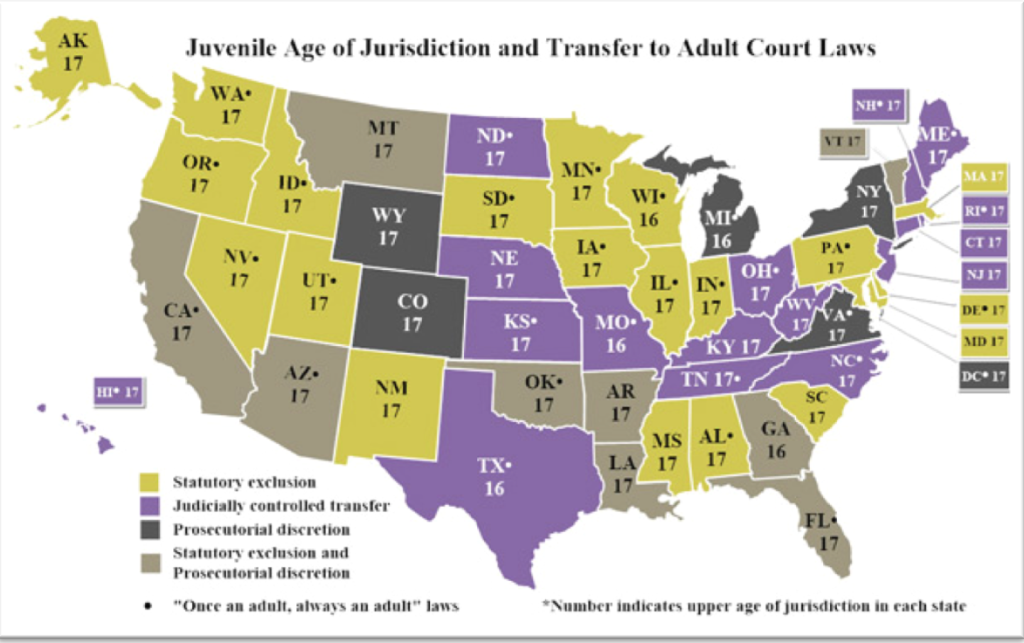 State juvenile courts with delinquency jurisdiction handle cases in which juveniles are accused of acts that would be crimes if adults committed them.<br />In 45 states, the maximum age of juvenile court jurisdiction is age 17. Five states-- Georgia, Michigan, Missouri, Texas, and Wisconsin--now draw the juvenile/adult line at age 16. However, all states have transfer laws that allow or require young offenders to be prosecuted as adults for more serious offenses, regardless of their age