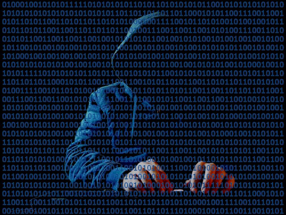 An image of a faceless hacker in a dark hooded sweatshirt sitting and typing at a keyboard, with binary code running across the foreground.