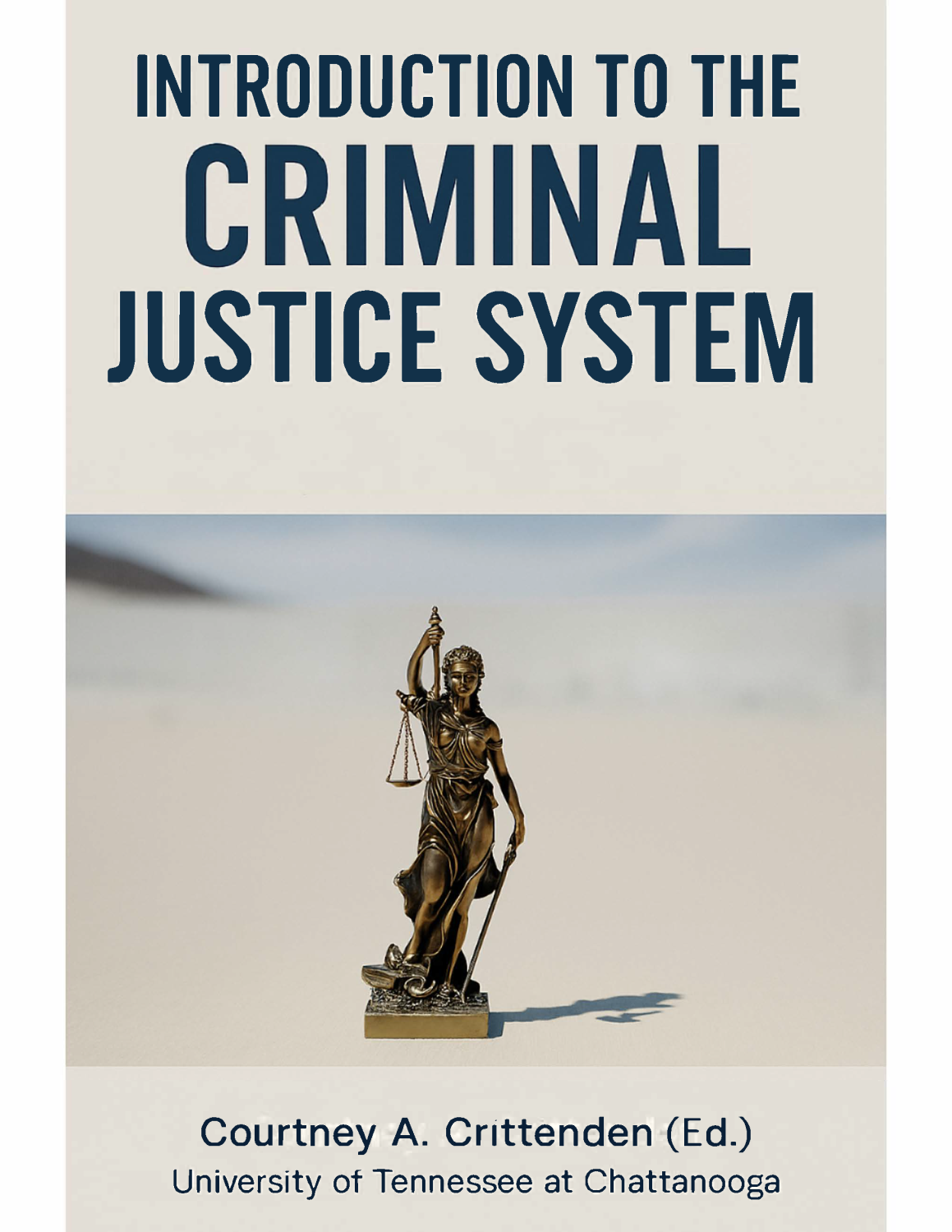 Cover image for Introduction to the Criminal Justice System